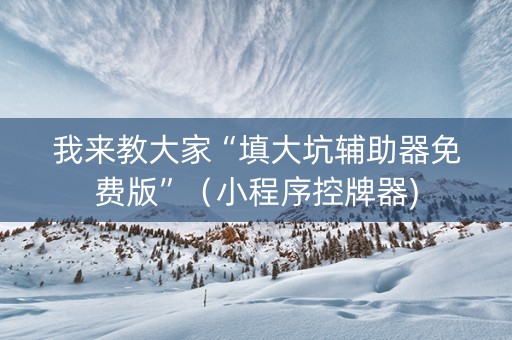 我来教大家“填大坑辅助器免费版”（小程序控牌器)