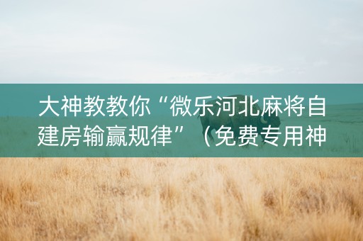 大神教教你“微乐河北麻将自建房输赢规律”（免费专用神器)