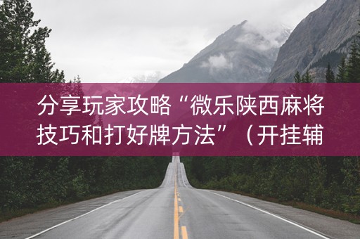 分享玩家攻略“微乐陕西麻将技巧和打好牌方法”（开挂辅助器脚本)