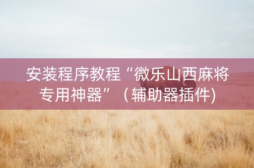 安装程序教程“微乐山西麻将专用神器”（辅助器插件)