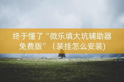 终于懂了“微乐填大坑辅助器免费版”（装挂怎么安装)