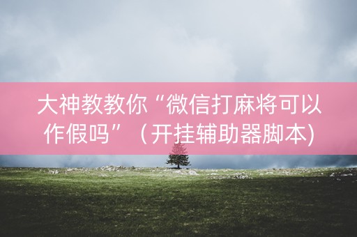 大神教教你“微信打麻将可以作假吗”（开挂辅助器脚本)