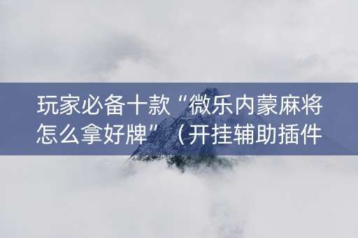 玩家必备十款“微乐内蒙麻将怎么拿好牌”（开挂辅助插件)