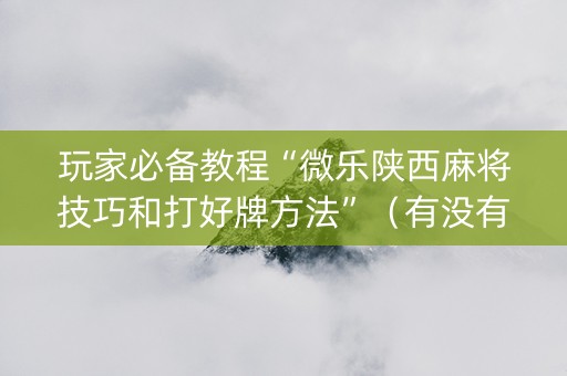 玩家必备教程“微乐陕西麻将技巧和打好牌方法”（有没有猫腻)
