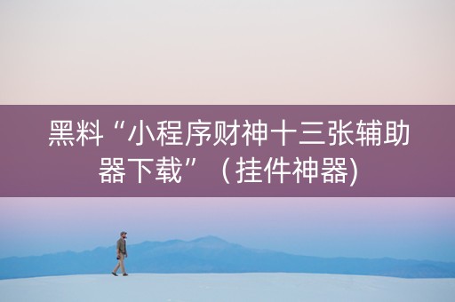 黑料“小程序财神十三张辅助器下载”（挂件神器)