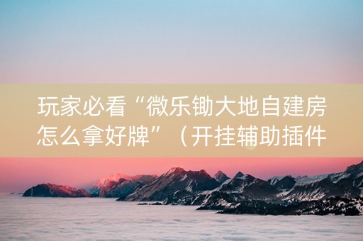 玩家必看“微乐锄大地自建房怎么拿好牌”（开挂辅助插件)