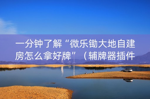 一分钟了解“微乐锄大地自建房怎么拿好牌”（辅牌器插件购买)