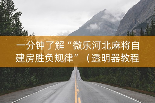 一分钟了解“微乐河北麻将自建房胜负规律”（透明器教程)