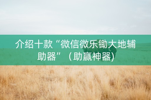 介绍十款“微信微乐锄大地辅助器”（助赢神器)