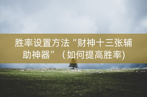 胜率设置方法“财神十三张辅助神器”（如何提高胜率)