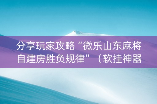 分享玩家攻略“微乐山东麻将自建房胜负规律”（软挂神器)
