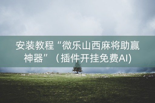 安装教程“微乐山西麻将助赢神器”（插件开挂免费AI)