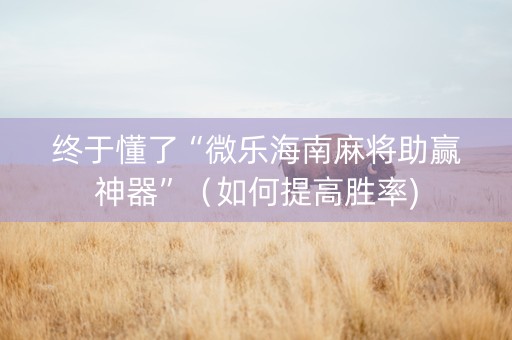 终于懂了“微乐海南麻将助赢神器”（如何提高胜率)