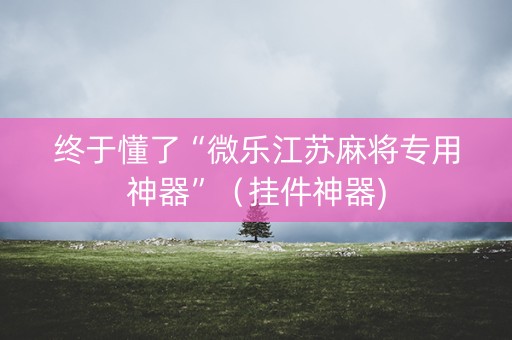 终于懂了“微乐江苏麻将专用神器”（挂件神器)