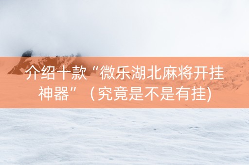 介绍十款“微乐湖北麻将开挂神器”（究竟是不是有挂)