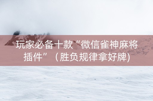 玩家必备十款“微信雀神麻将插件”（胜负规律拿好牌)