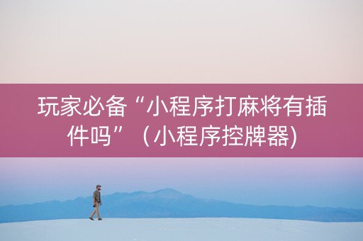 玩家必备“小程序打麻将有插件吗”（小程序控牌器)