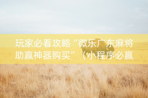 玩家必看攻略“微乐广东麻将助赢神器购买”（小程序必赢神器)