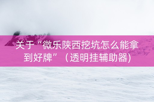 关于“微乐陕西挖坑怎么能拿到好牌”（透明挂辅助器)