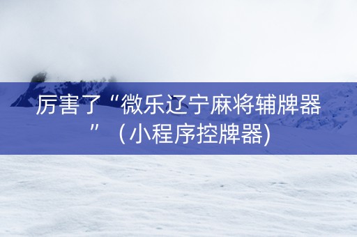 厉害了“微乐辽宁麻将辅牌器”（小程序控牌器)