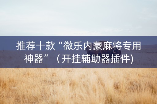 推荐十款“微乐内蒙麻将专用神器”（开挂辅助器插件)
