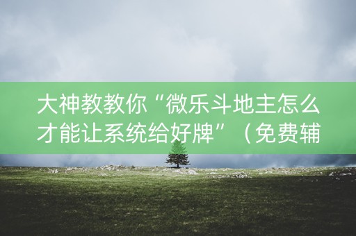 大神教教你“微乐斗地主怎么才能让系统给好牌”（免费辅助)