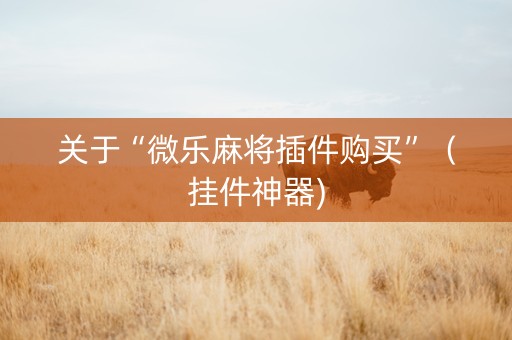 关于“微乐麻将插件购买”（挂件神器)