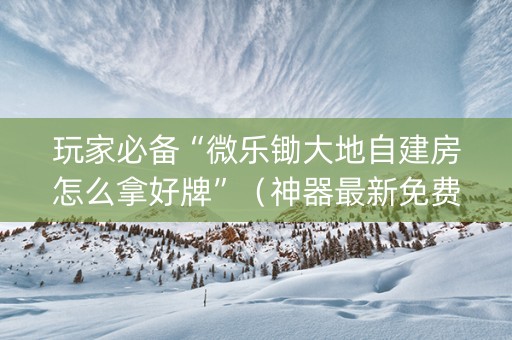 玩家必备“微乐锄大地自建房怎么拿好牌”（神器最新免费)