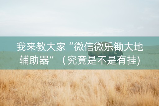 我来教大家“微信微乐锄大地辅助器”（究竟是不是有挂)