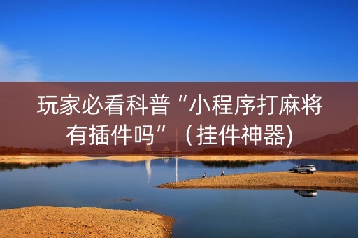 玩家必看科普“小程序打麻将有插件吗”（挂件神器)