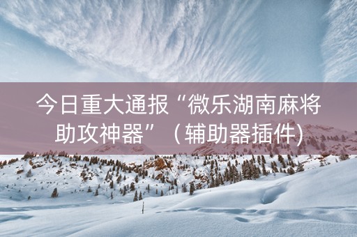 今日重大通报“微乐湖南麻将助攻神器”（辅助器插件)