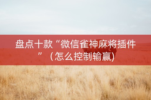 盘点十款“微信雀神麻将插件”（怎么控制输赢)