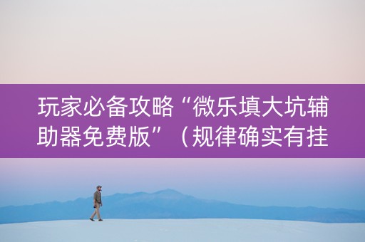 玩家必备攻略“微乐填大坑辅助器免费版”（规律确实有挂)
