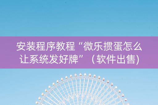 安装程序教程“微乐掼蛋怎么让系统发好牌”（软件出售)