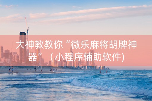 大神教教你“微乐麻将胡牌神器”（小程序辅助软件)