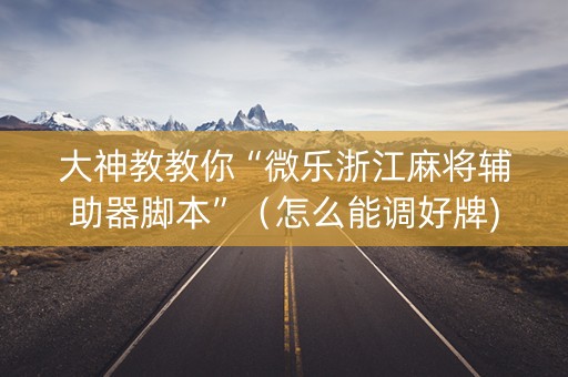大神教教你“微乐浙江麻将辅助器脚本”（怎么能调好牌)