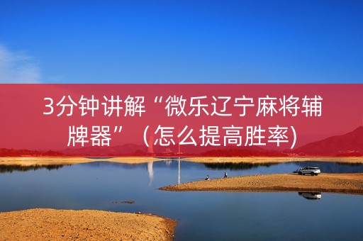 3分钟讲解“微乐辽宁麻将辅牌器”（怎么提高胜率)