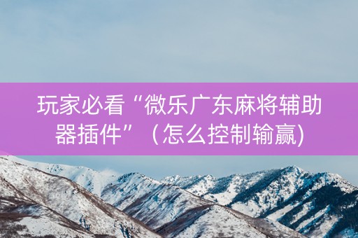 玩家必看“微乐广东麻将辅助器插件”（怎么控制输赢)