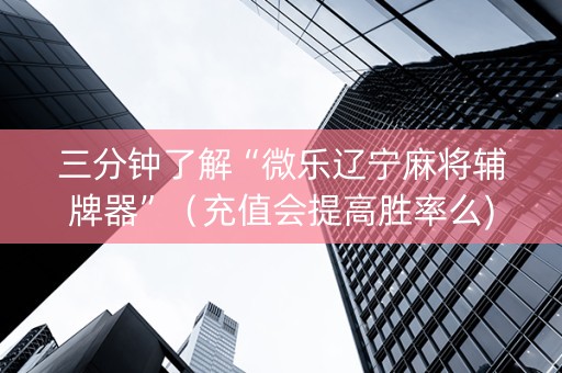 三分钟了解“微乐辽宁麻将辅牌器”（充值会提高胜率么)
