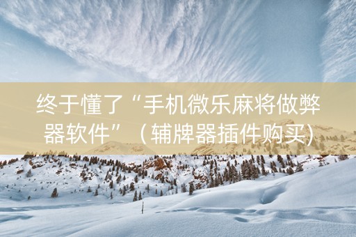 终于懂了“手机微乐麻将做弊器软件”（辅牌器插件购买)
