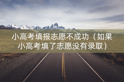 小高考填报志愿不成功（如果小高考填了志愿没有录取）