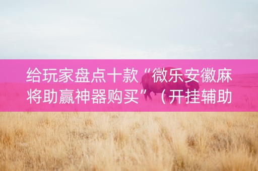 给玩家盘点十款“微乐安徽麻将助赢神器购买”（开挂辅助脚本)