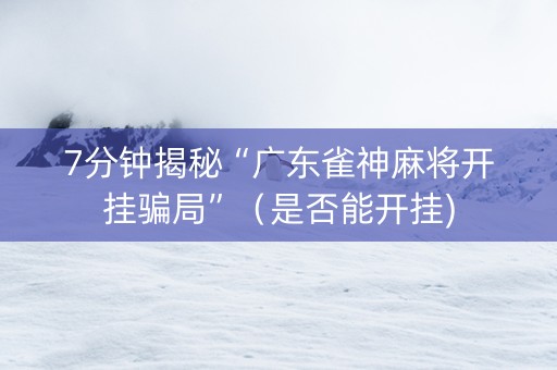 7分钟揭秘“广东雀神麻将开挂骗局”（是否能开挂)