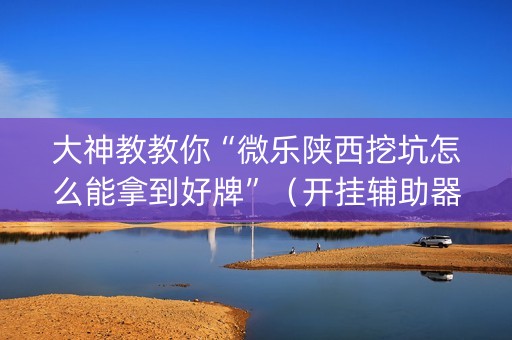 大神教教你“微乐陕西挖坑怎么能拿到好牌”（开挂辅助器插件)