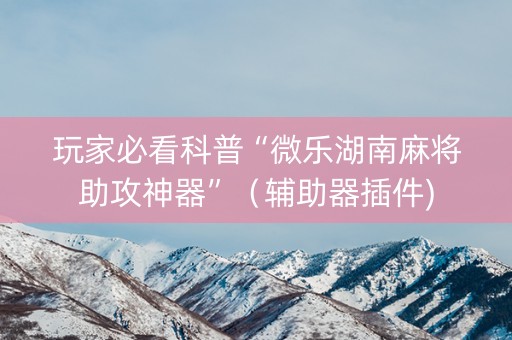 玩家必看科普“微乐湖南麻将助攻神器”（辅助器插件)