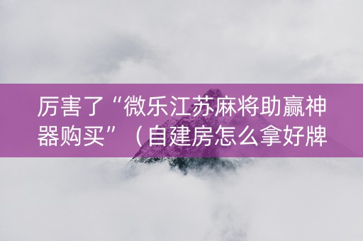 厉害了“微乐江苏麻将助赢神器购买”（自建房怎么拿好牌)