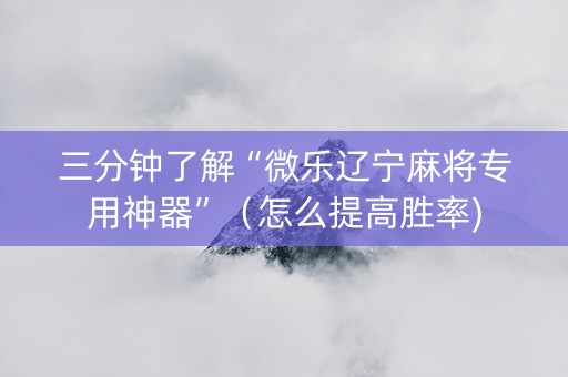 三分钟了解“微乐辽宁麻将专用神器”（怎么提高胜率)