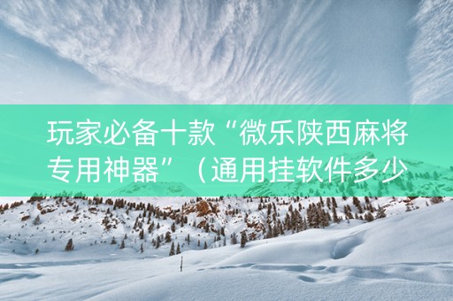 玩家必备十款“微乐陕西麻将专用神器”（通用挂软件多少钱)