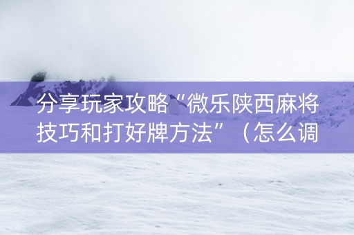 分享玩家攻略“微乐陕西麻将技巧和打好牌方法”（怎么调胜率)