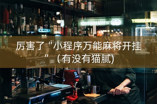 厉害了“小程序万能麻将开挂”（有没有猫腻)